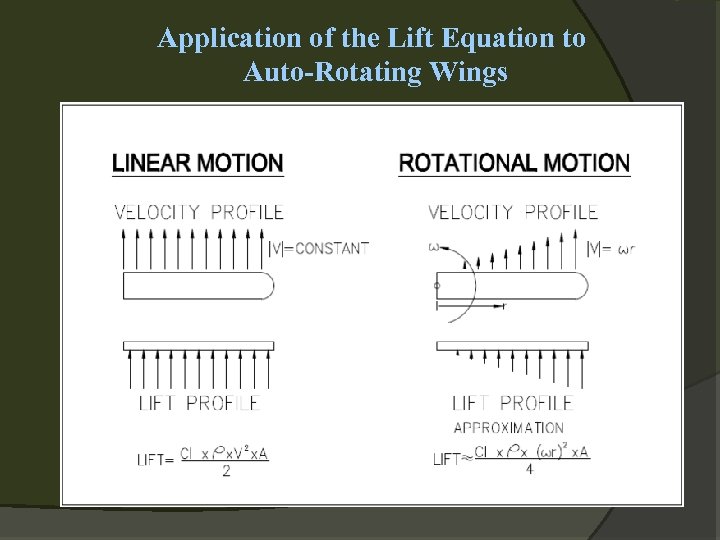 Application of the Lift Equation to Auto-Rotating Wings 