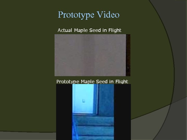 Prototype Video Actual Maple Seed in Flight Prototype Maple Seed in Flight 