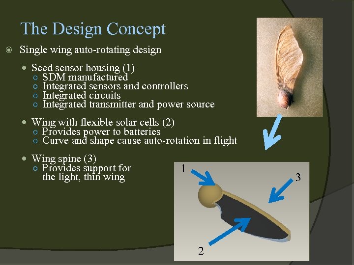 The Design Concept Single wing auto-rotating design Seed sensor housing (1) ○ ○ SDM