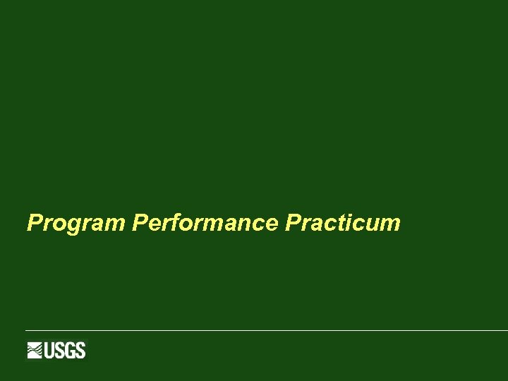 Program Performance Practicum 