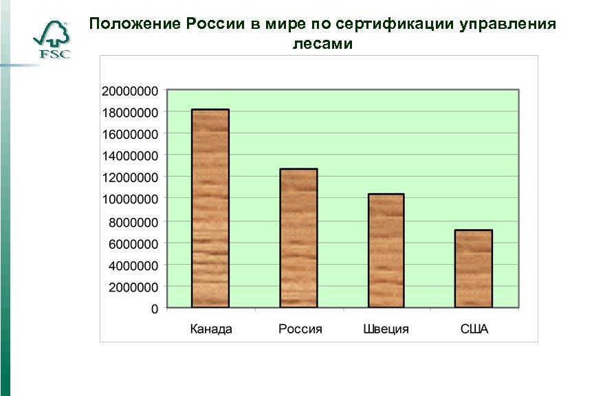 Положение России в мире по сертификации управления лесами 