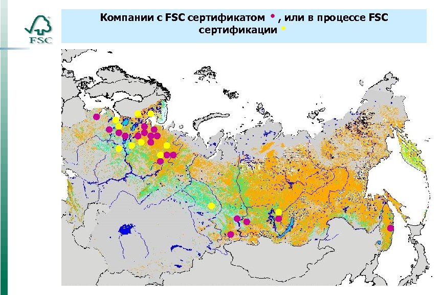 Компании с FSC сертификатом , или в процессе FSC сертификации 