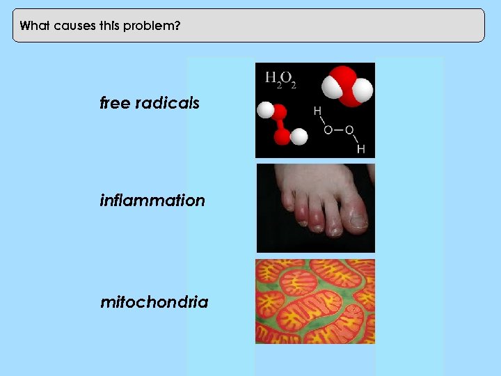 What causes this problem? free radicals inflammation mitochondria 