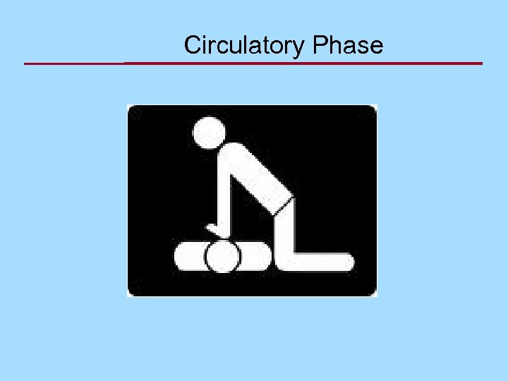 Circulatory Phase 
