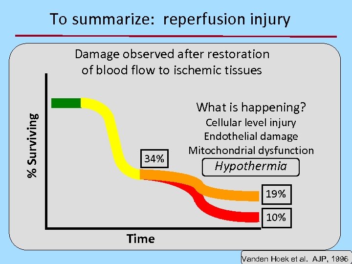 To summarize: reperfusion injury % Surviving Damage observed after restoration of blood flow to