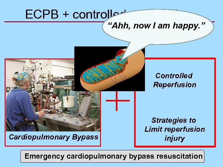 ECPB + controlled reperfusion “Ahh, now I am happy. ” Controlled Reperfusion Cardiopulmonary Bypass