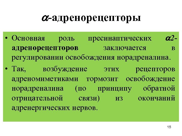  -адренорецепторы • Основная роль пресинаптических 2 адренорецепторов заключается в регулировании освобождения норадреналина. •