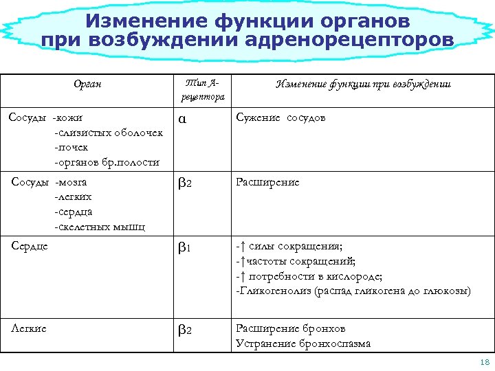 Изменение функции органов при возбуждении адренорецепторов Орган Тип Арецептора Изменение функции при возбуждении Сосуды