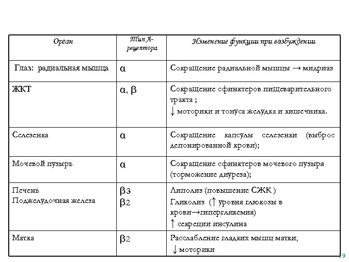 Тип Арецептора Орган Изменение функции при возбуждении Глаз: радиальная мышца α Сокращение радиальной мышцы