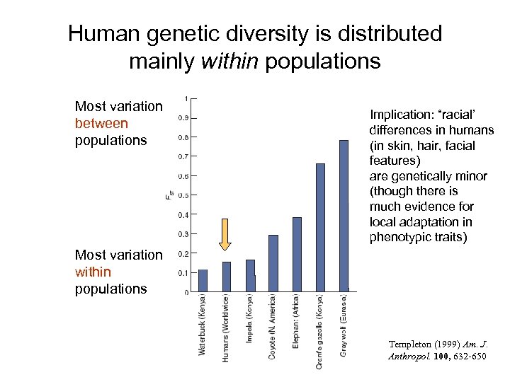 Human genetic diversity is distributed mainly within populations Most variation between populations Implication: “racial’