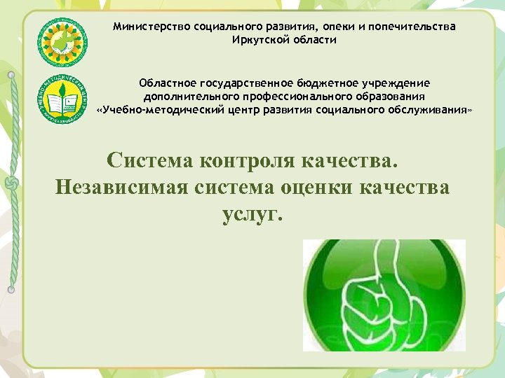 Министерство социального развития, опеки и попечительства Иркутской области Областное государственное бюджетное учреждение дополнительного профессионального