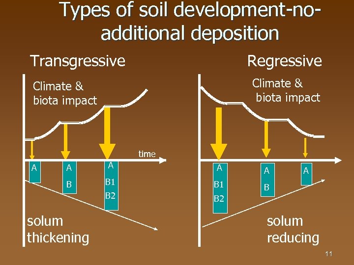 Types of soil development-noadditional deposition Transgressive Regressive Climate & biota impact time A A