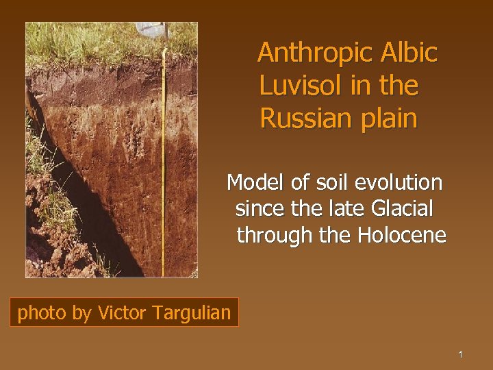 Anthropic Albic Luvisol in the Russian plain Model of soil evolution since the late