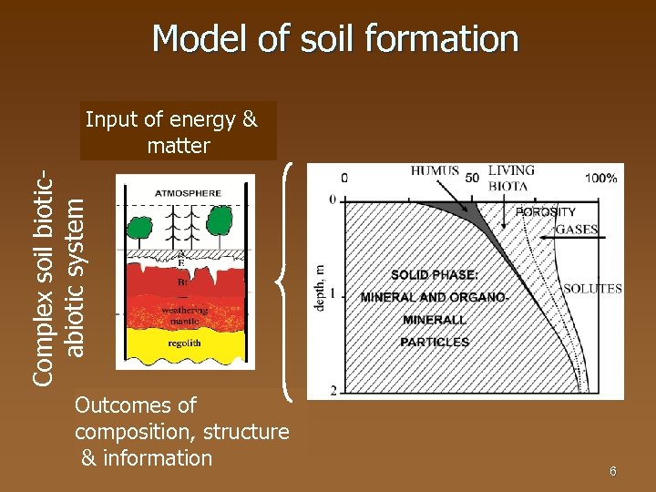 Model of soil formation Complex soil bioticabiotic system Input of energy & matter Outcomes