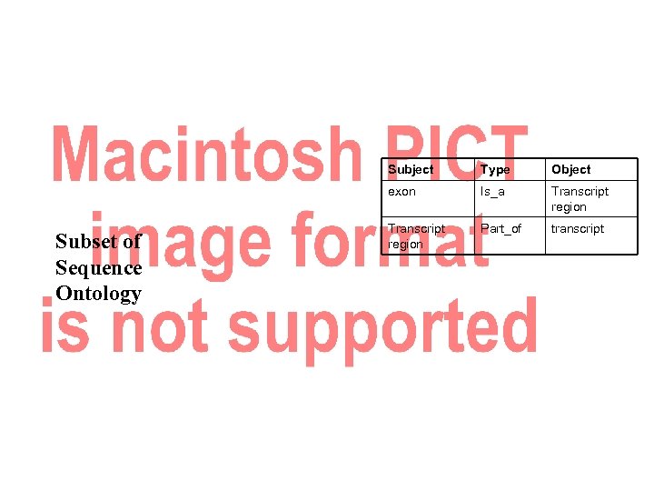 Subject Object exon Subset of Sequence Ontology Type Is_a Transcript region Part_of transcript 
