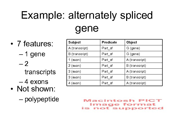 Example: alternately spliced gene • 7 features: – 1 gene – 2 transcripts –