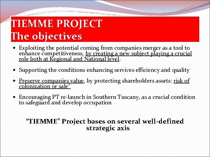 TIEMME PROJECT The objectives • Exploiting the potential coming from companies merger as a