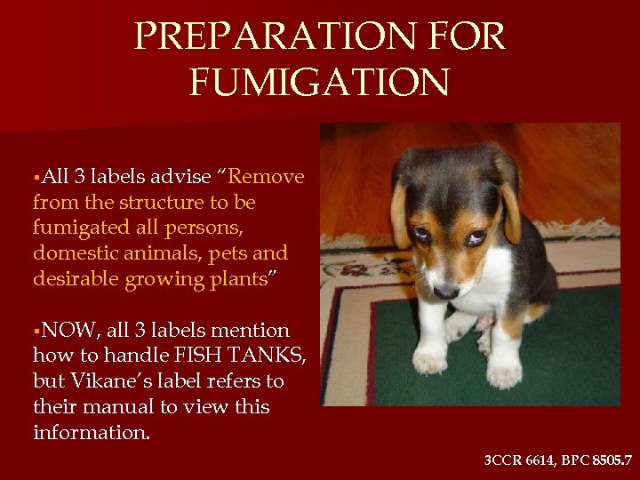 PREPARATION FOR FUMIGATION §All 3 labels advise “Remove from the structure to be fumigated