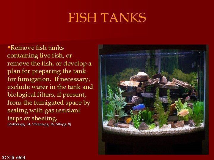 FISH TANKS §Remove fish tanks containing live fish, or remove the fish, or develop