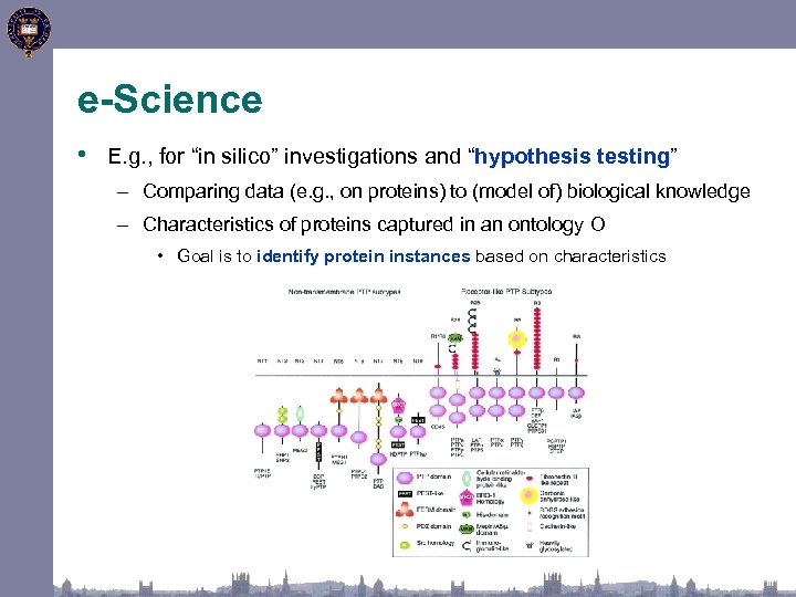 e-Science • E. g. , for “in silico” investigations and “hypothesis testing” – Comparing