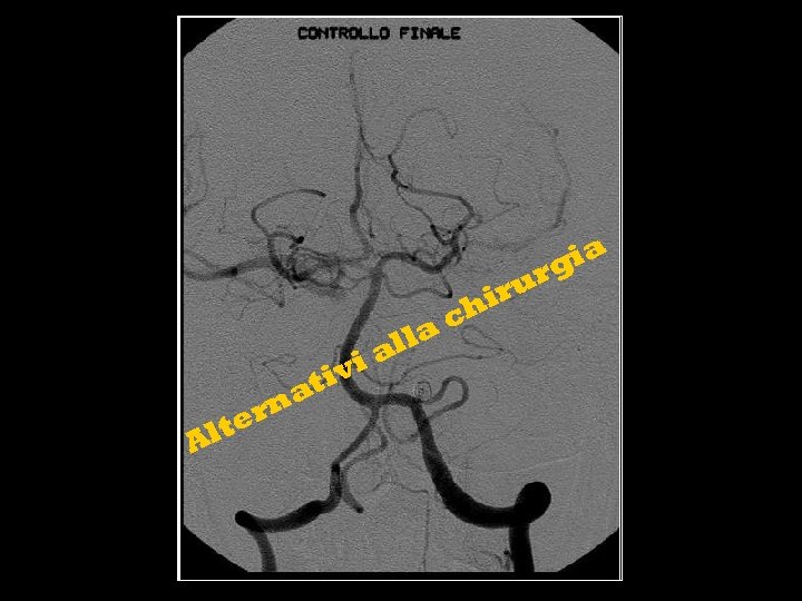 ia g al vi ti t Al na er l ch a ur ir