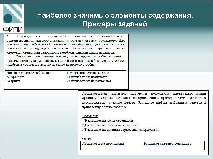 Наиболее значимые элементы содержания. Примеры заданий 