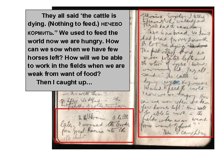 They all said ‘the cattle is dying. (Nothing to feed. ) НЕЧЕВО КОРМить. ”