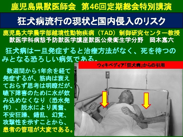 鹿児島県獣医師会　第 46回定期総会特別講演 狂犬病流行の現状と国内侵入のリスク 鹿児島大学農学部越境性動物疾病（TAD）制御研究センター教授 獣医学科病態予防獣医学講座獣医公衆衛生学分野　岡本嘉六 狂犬病は一旦発症すると治療方法がなく、死を待つの みとなる恐ろしい病気である。 ウィキペディア「狂犬病」からの引用 数週間から1年余を経て 発症するが、筋肉は衰え ておらず思考は明瞭だが、 嚥下障害のために水が飲 み込めなくなり（恐水発 作）、脱水により興奮、