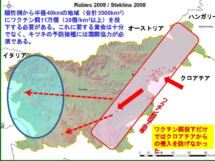 陽性例から半径40 kmの地域（合計3500 km 2） にワクチン餌11万個（20個/km 2以上）を投 下する必要がある。これに要する資金は十分 オーストリア でなく、キツネの予防接種には国際協力が必 須である。 ハンガリー イタリア クロアチア ワ