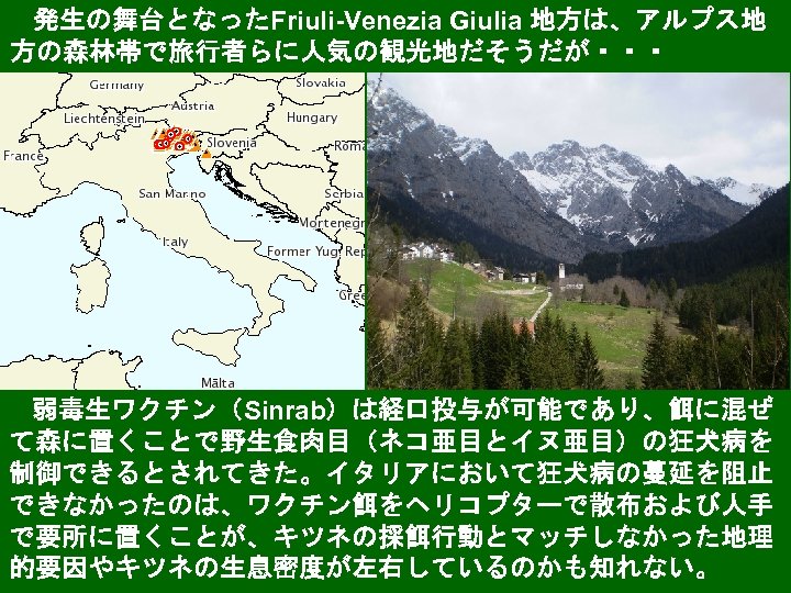 発生の舞台となったFriuli-Venezia Giulia 地方は、アルプス地 方の森林帯で旅行者らに人気の観光地だそうだが・・・ 弱毒生ワクチン（Sinrab）は経口投与が可能であり、餌に混ぜ て森に置くことで野生食肉目（ネコ亜目とイヌ亜目）の狂犬病を 制御できるとされてきた。イタリアにおいて狂犬病の蔓延を阻止 できなかったのは、ワクチン餌をヘリコプターで散布および人手 で要所に置くことが、キツネの採餌行動とマッチしなかった地理 的要因やキツネの生息密度が左右しているのかも知れない。 