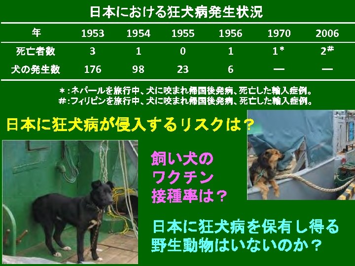 日本における狂犬病発生状況 年 1953 1954 1955 1956 1970 2006 死亡者数 3 1 0 1 1＊