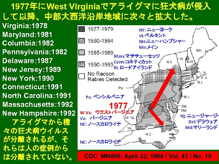 1977年にWest Virginiaでアライグマに狂犬病が侵入 して以降、中部大西洋沿岸地域に次々と拡大した。 Virginia: 1978 Maryland: 1981 Columbia: 1982 Pennsylvania: 1982 Delaware: 1987 New