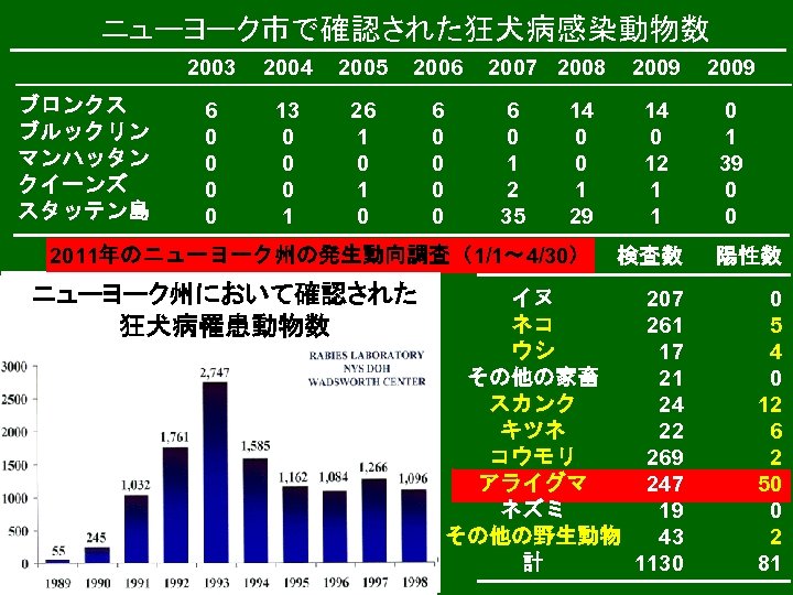 ニューヨーク市で確認された狂犬病感染動物数 2003 ブロンクス ブルックリン マンハッタン クイーンズ スタッテン島 2004 2005 2006 6 0 0 13