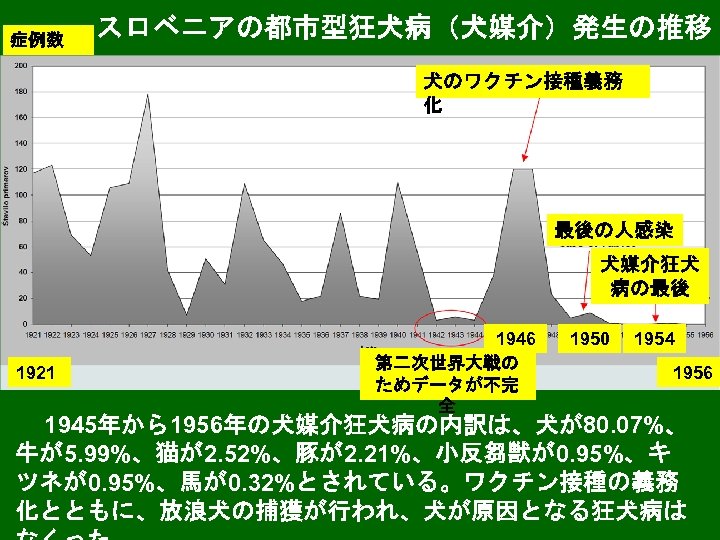 症例数 スロベニアの都市型狂犬病（犬媒介）発生の推移 犬のワクチン接種義務 化 最後の人感染 犬媒介狂犬 病の最後 1921 1946 第二次世界大戦の ためデータが不完 全 1950 1954
