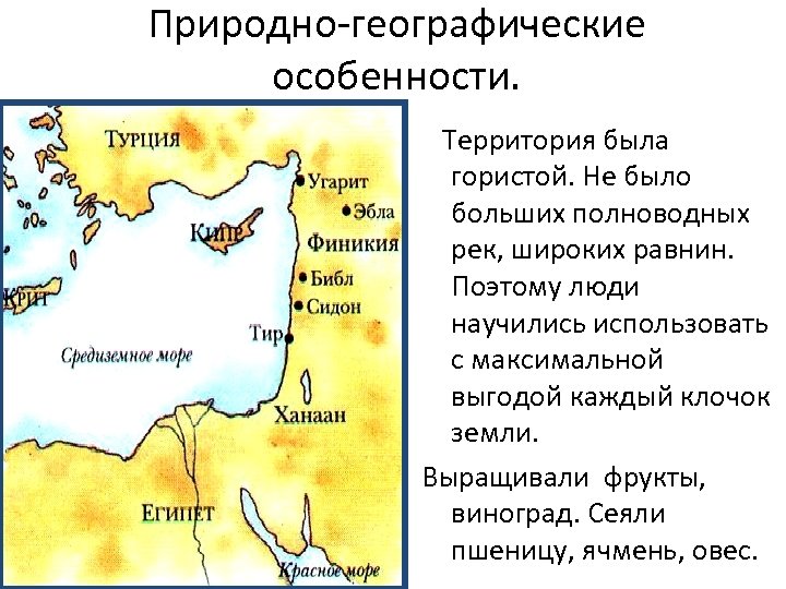 Какие природные условия древнего. Финикия и Палестина в древности 5 класс. Географическое положение Палестины 5 класс. Междуречье Финикия Палестина на карте. Междуречья древней Финикии.