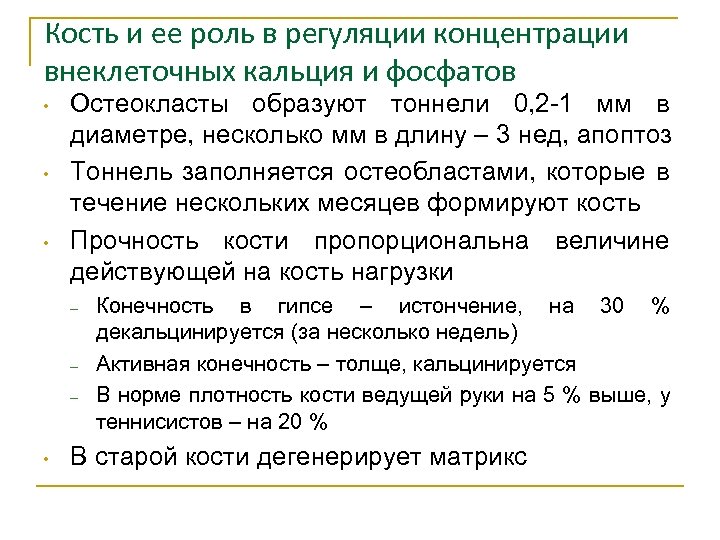 Кость и ее роль в регуляции концентрации внеклеточных кальция и фосфатов • • •