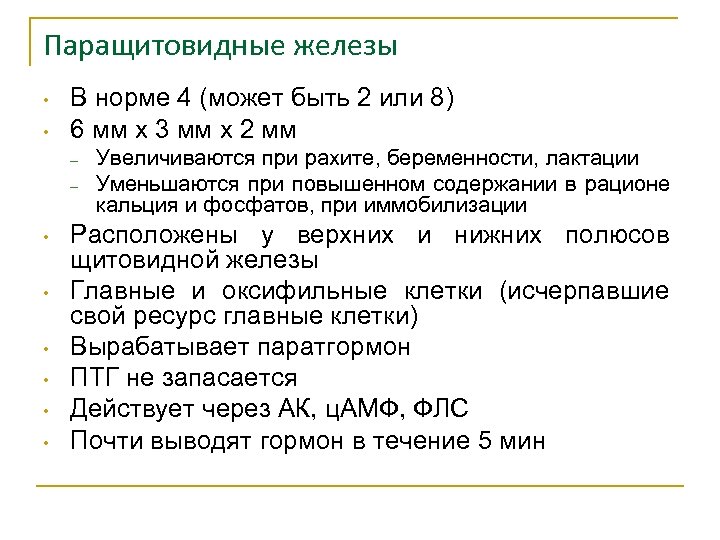 Паращитовидные железы • • В норме 4 (может быть 2 или 8) 6 мм