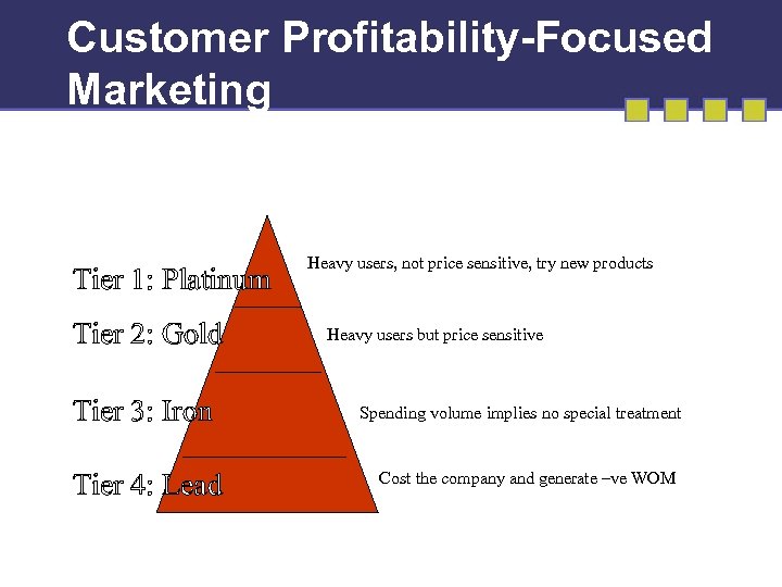 Customer Profitability-Focused Marketing Tier 1: Platinum Tier 2: Gold Tier 3: Iron Tier 4: