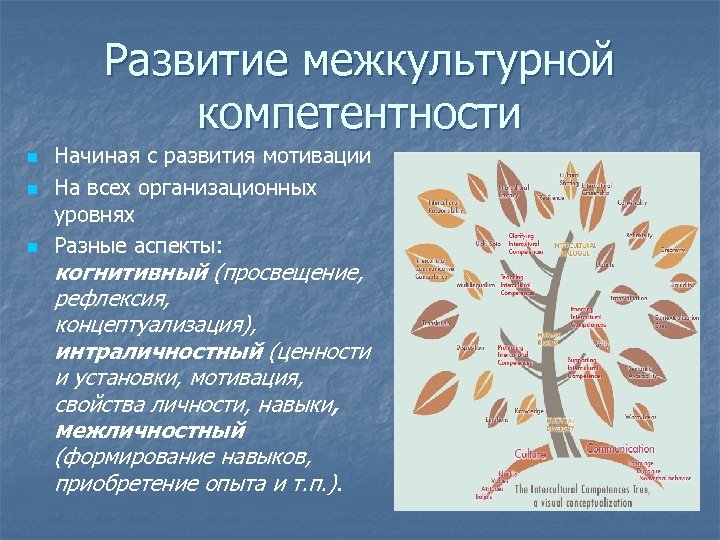 Развитие межкультурной компетентности n n n Начиная с развития мотивации На всех организационных уровнях