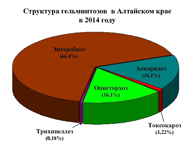 Структура гельминтозов в Алтайском крае в 2014 году Энтеробиоз (66, 4%) Аскаридоз (16, 1%)