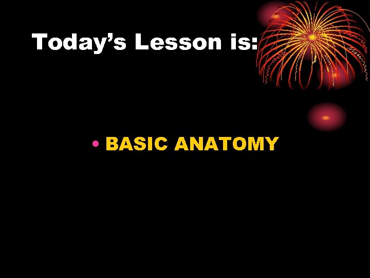 Today’s Lesson is: • BASIC ANATOMY 