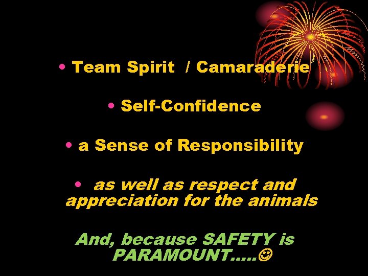  • Team Spirit / Camaraderie • Self-Confidence • a Sense of Responsibility •