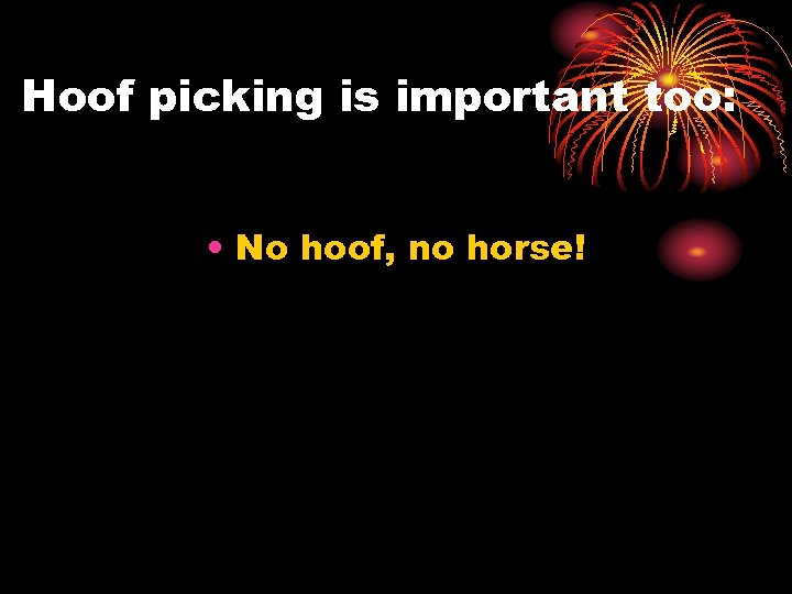 Hoof picking is important too: • No hoof, no horse! 