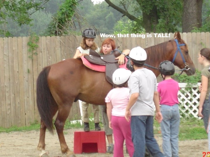 Wow, that thing is TALL! 