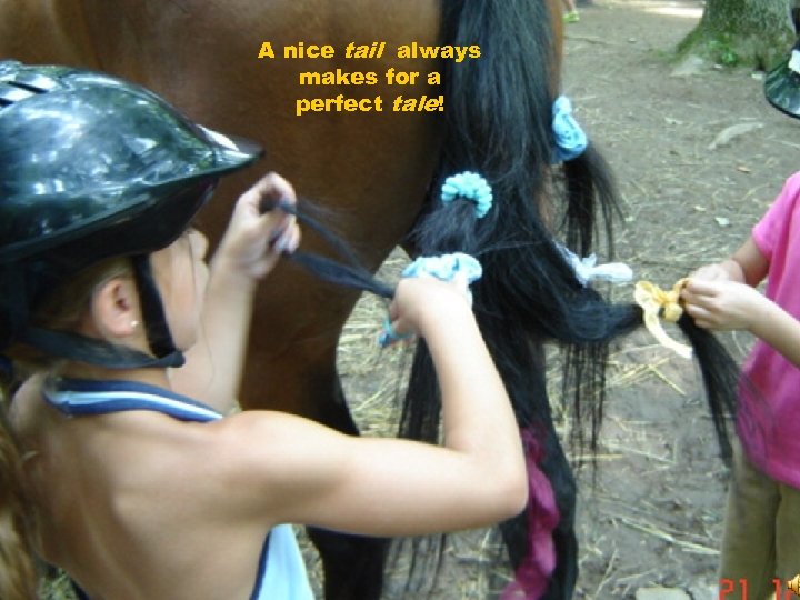 A nice tail always makes for a perfect tale! 