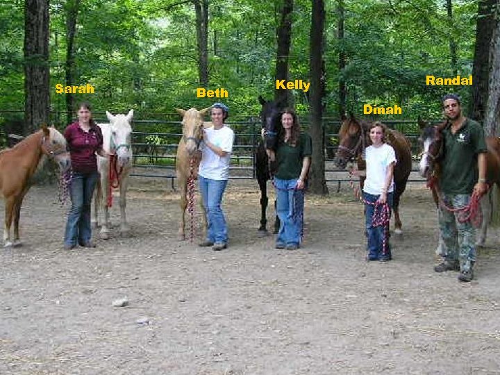 Sarah Beth Randal Kelly Dinah 