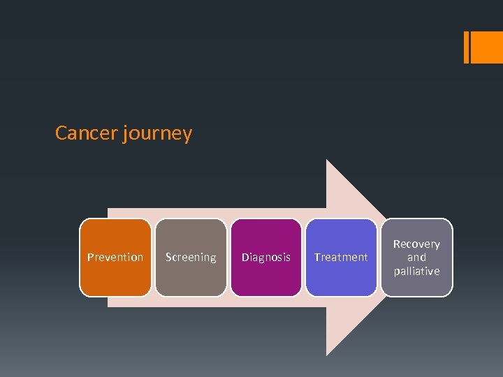 Cancer journey Prevention Screening Diagnosis Treatment Recovery and palliative 