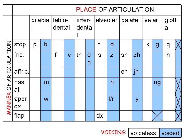 PLACE OF ARTICULATION MANNER OF ARTICULATION bilabia labiol dental stop p inter- alveolar palatal