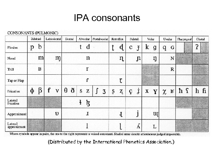 IPA consonants (Distributed by the International Phonetics Association. ) 