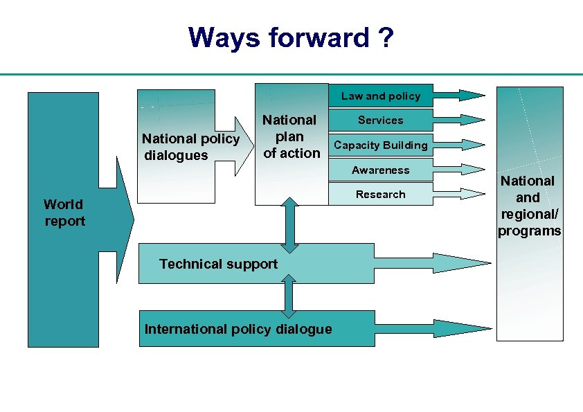 Ways forward ? Law and policy National policy dialogues National plan of action Services